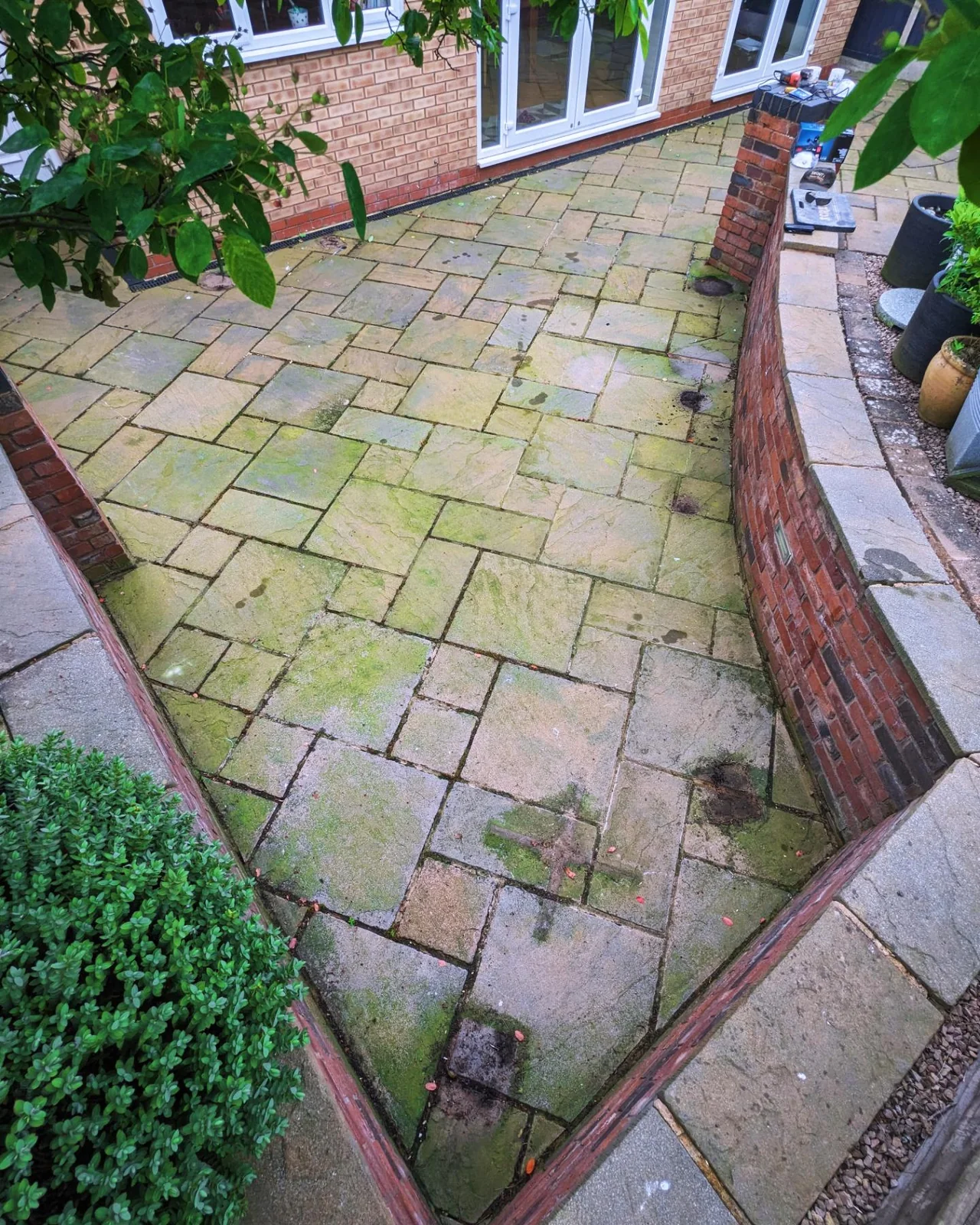 Green algae covered patio before cleaning